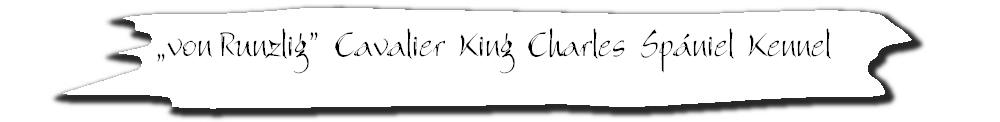 Von Runzlig Cavalier King Charles Spaniel kennel